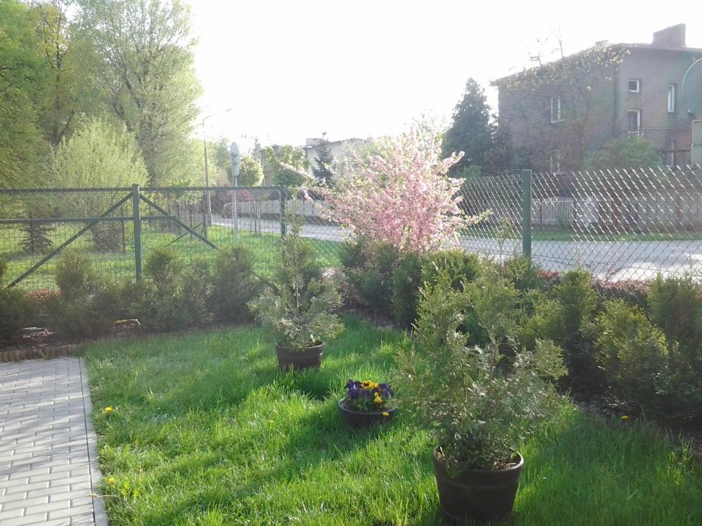 Villa Green Oswiecim Bagian luar foto